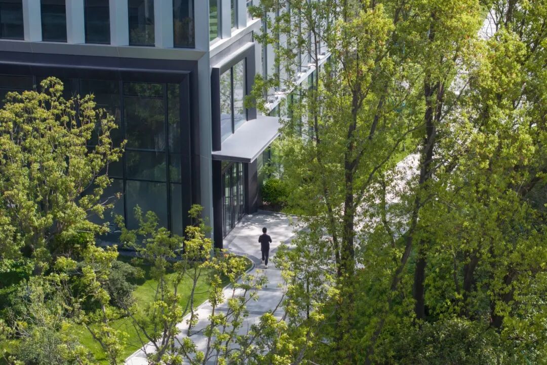 上海海创中心 | 未来总部，正在从一栋楼，变成一张网