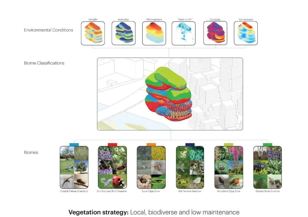 Rotterdam ROCKS! MVRDV 中标鹿特丹「转型大使馆」国际设计竞赛，计划 2032 年建成开放