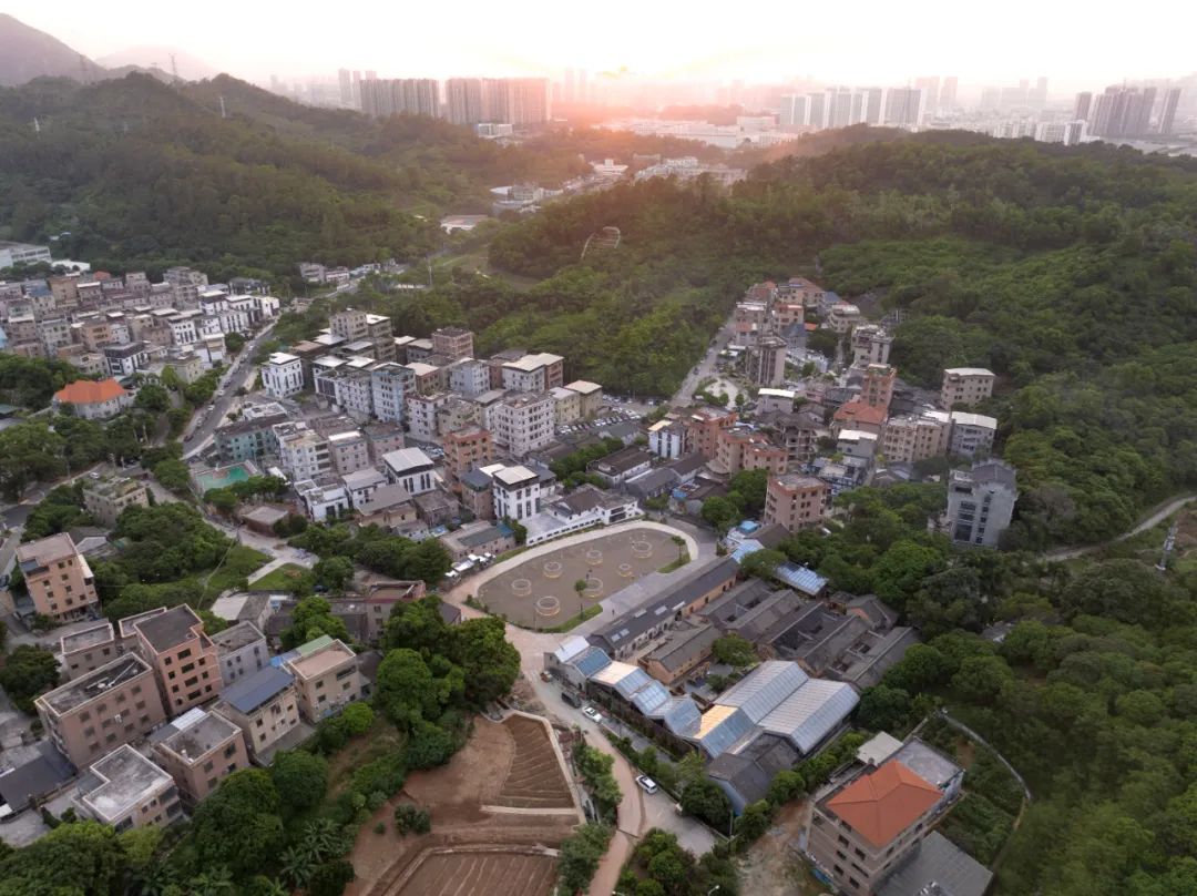 朱小地：在对岸，反观自我