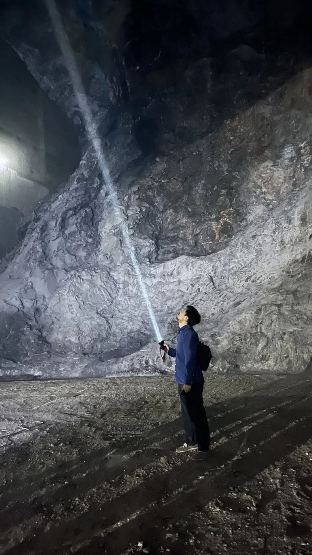 【建言丨对话张准】共生结构，探索全新生态位