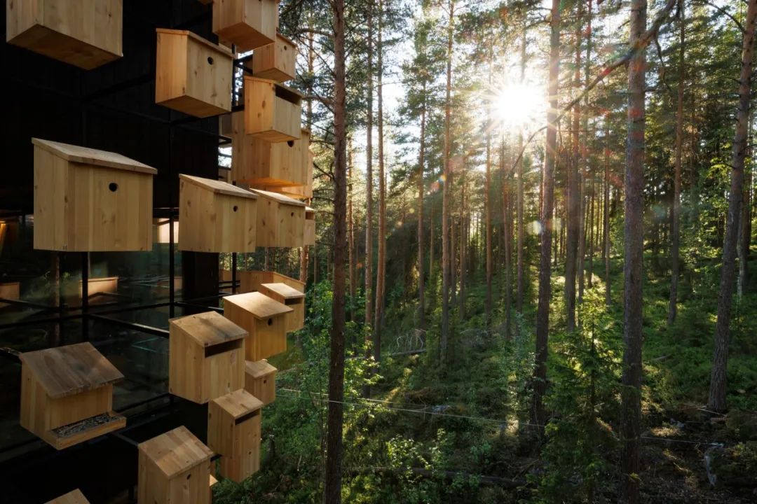 &ldquo;与鸟共栖&rdquo;：Biosphere at Treehotel 入选全球最具奇幻想象力的度假住宿之一