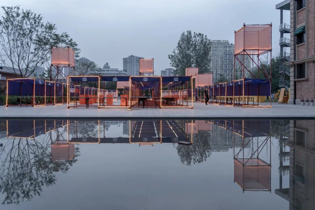 李涛：野生之外