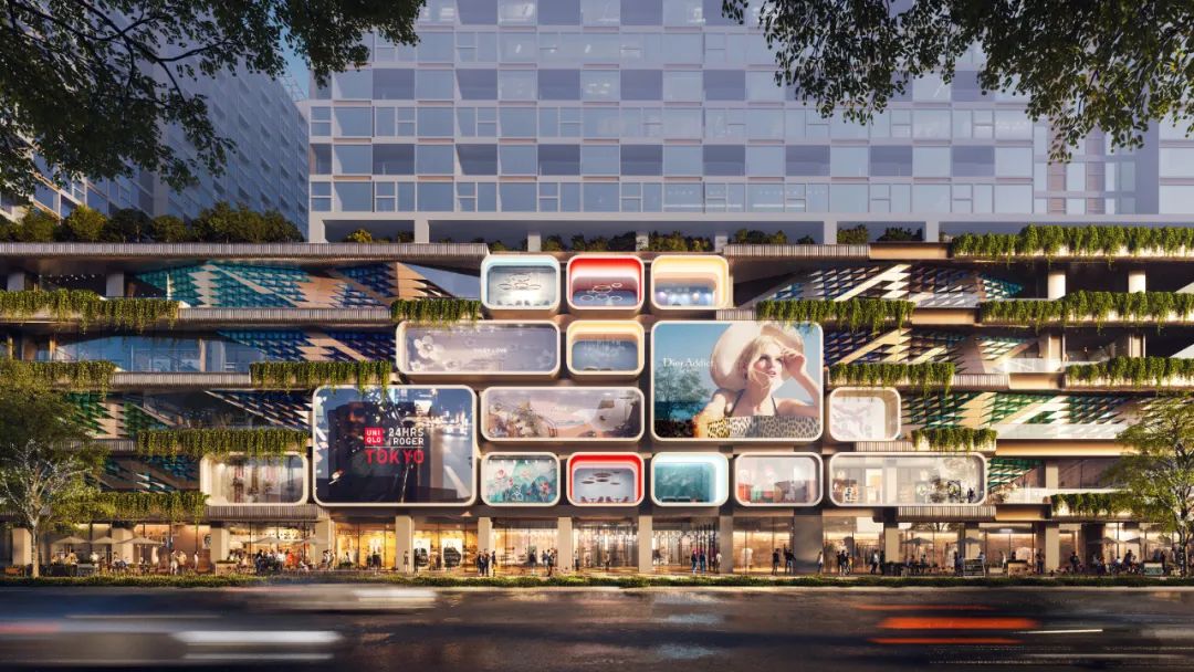 新任命 | 伍兹贝格公布新晋高级理事及理事