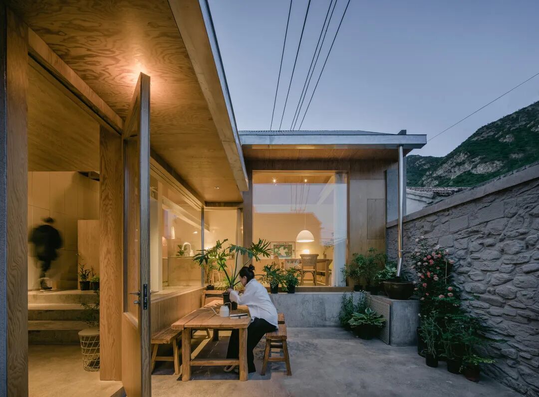 成直:我的社会价值“不参与”