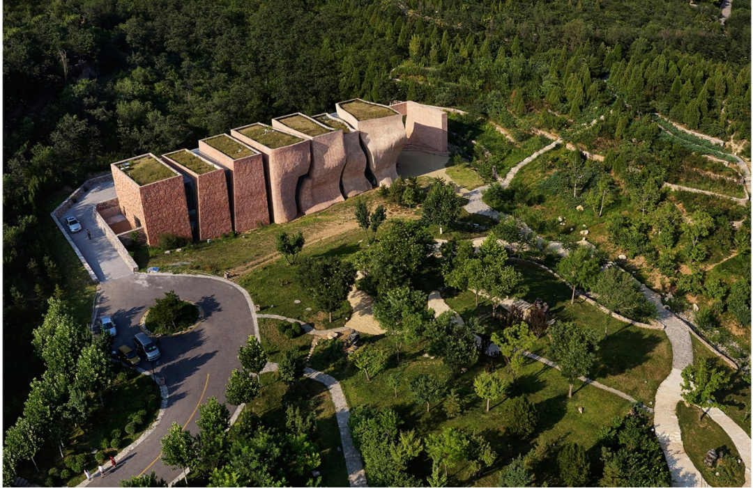 张华:个色的“拧种”