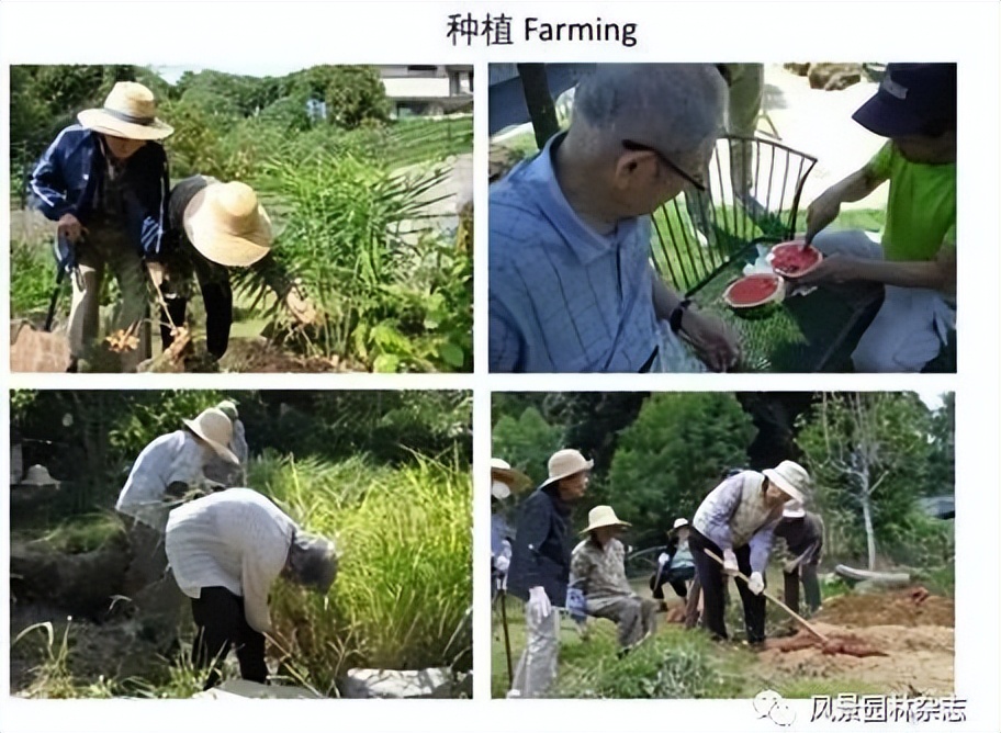 精彩压轴 | 日本景观如何走向自然与健康