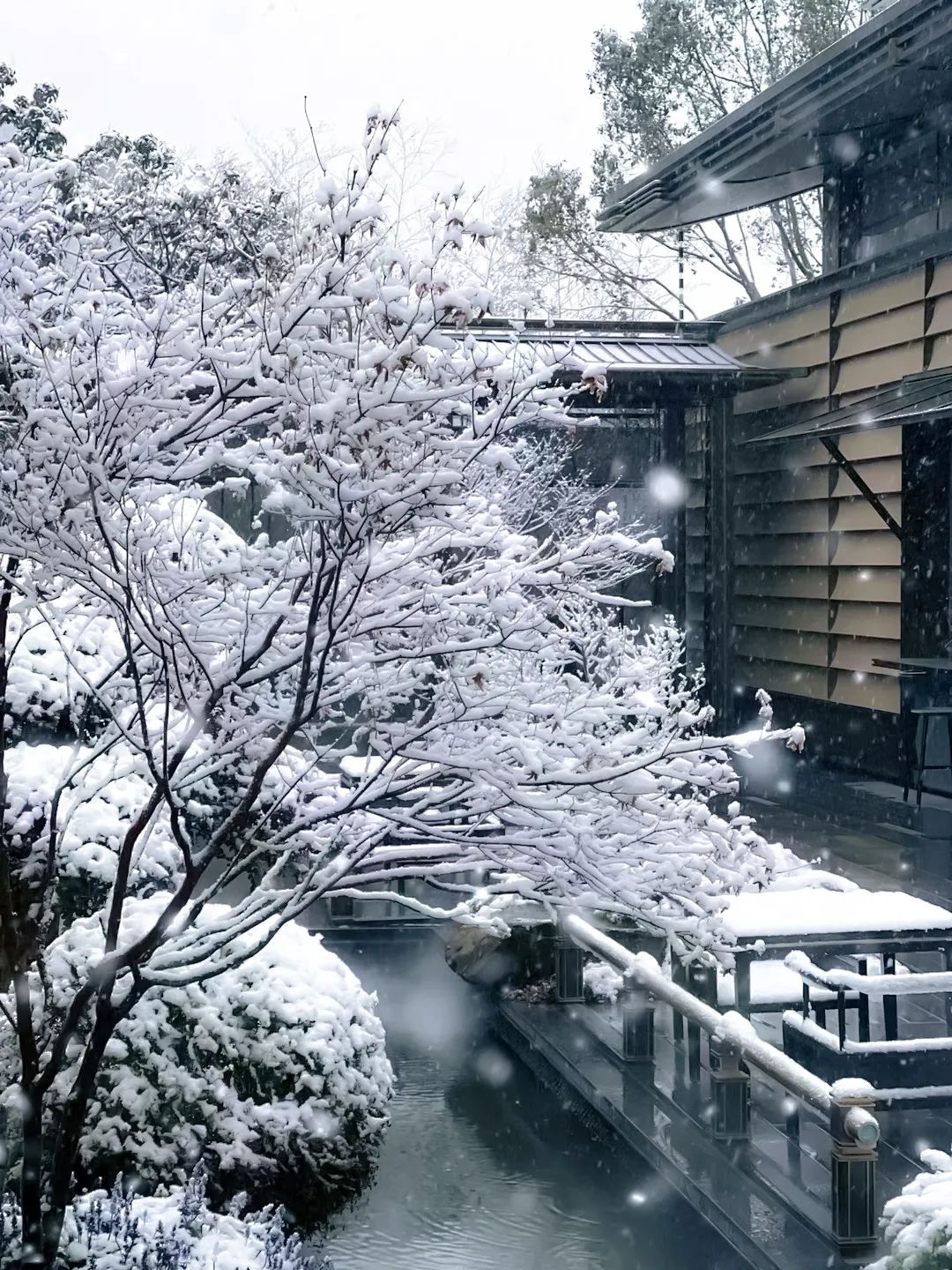 风雅宋韵·台州建发养云 ｜烟雨画桥，复现台州梦华录【致逸精筑】 