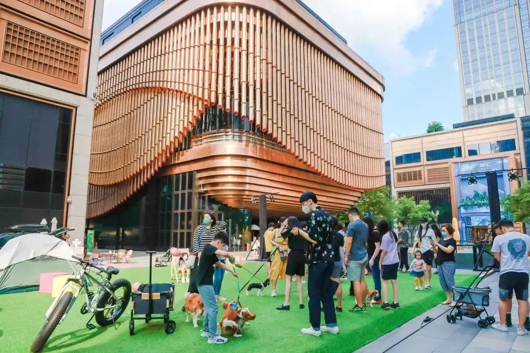 宠物友好商场：“它经济”下，城市商业生态的多样化探索