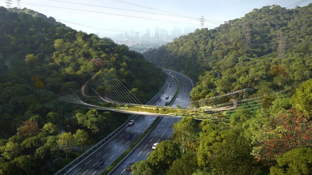 曹睿芝:大题小做