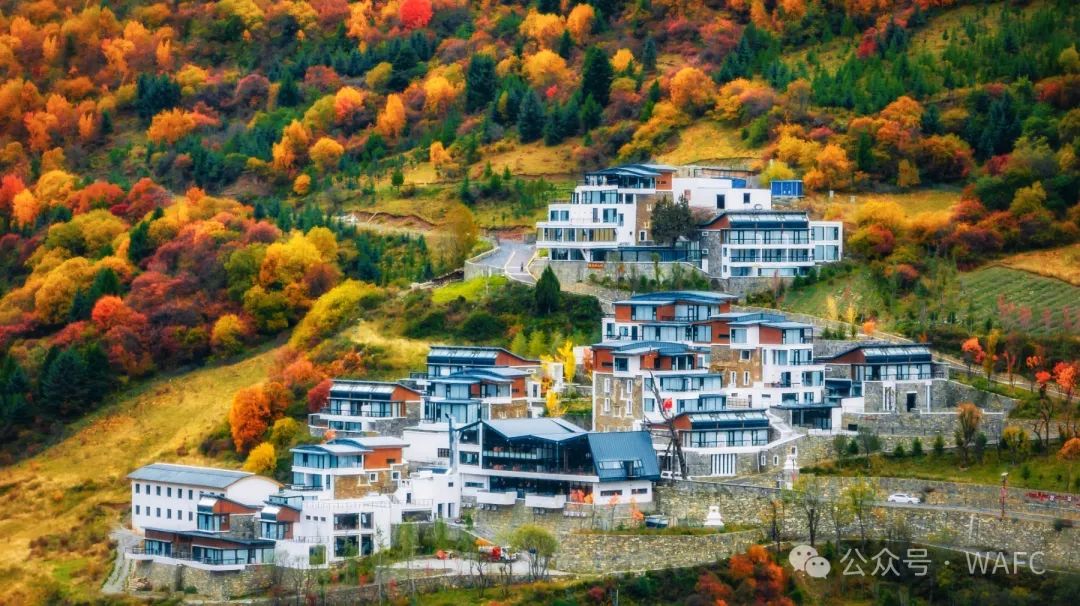 重磅！2024世界建筑节中国盛典获奖名单公布