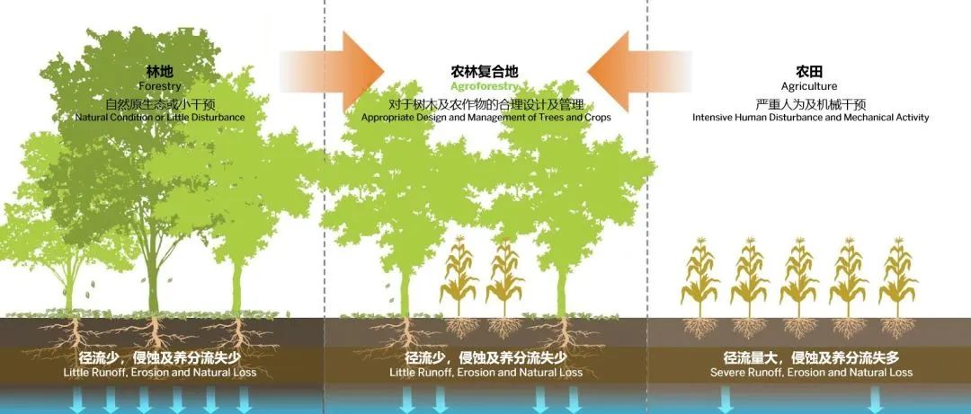 SOM 开放空间设计系列(二):何时?巨变下的多尺度开放空间实践探索