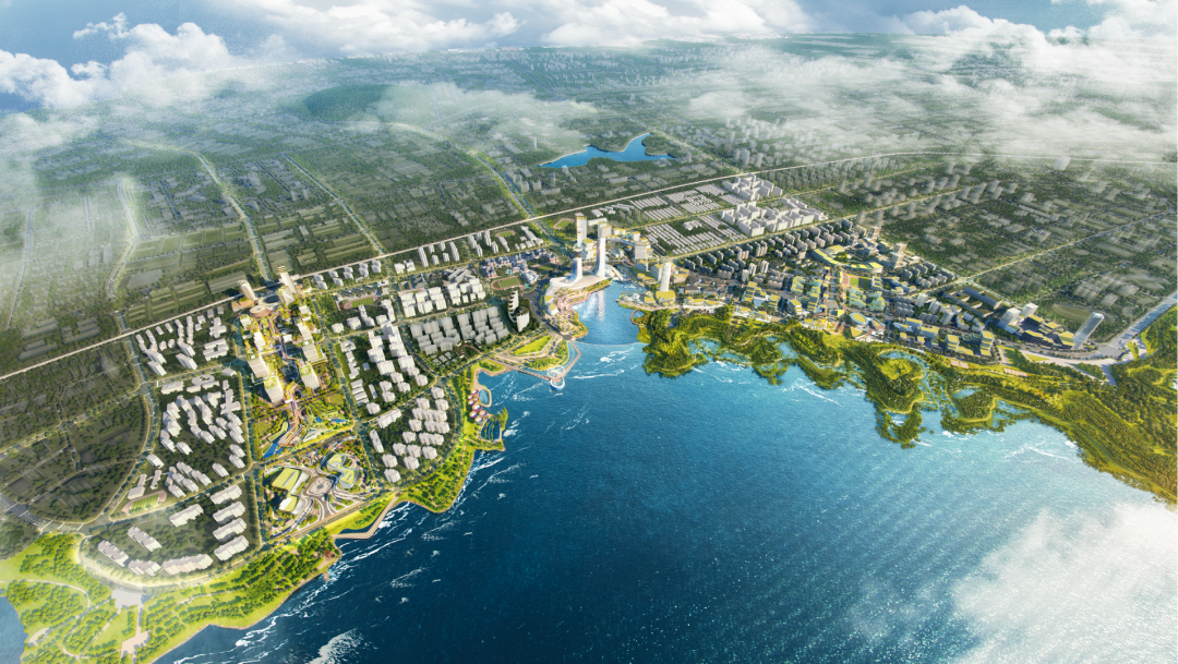城市与场所 | 红树清风，探索洋浦海城共融