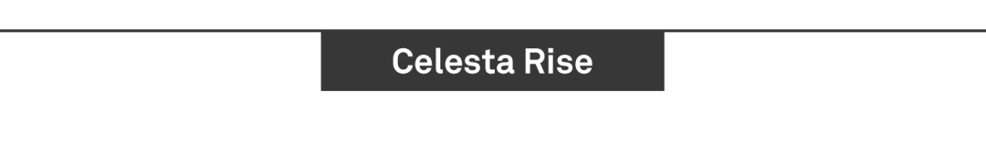 Aedas新作 | Celesta Rise，胡志明市的都市银河