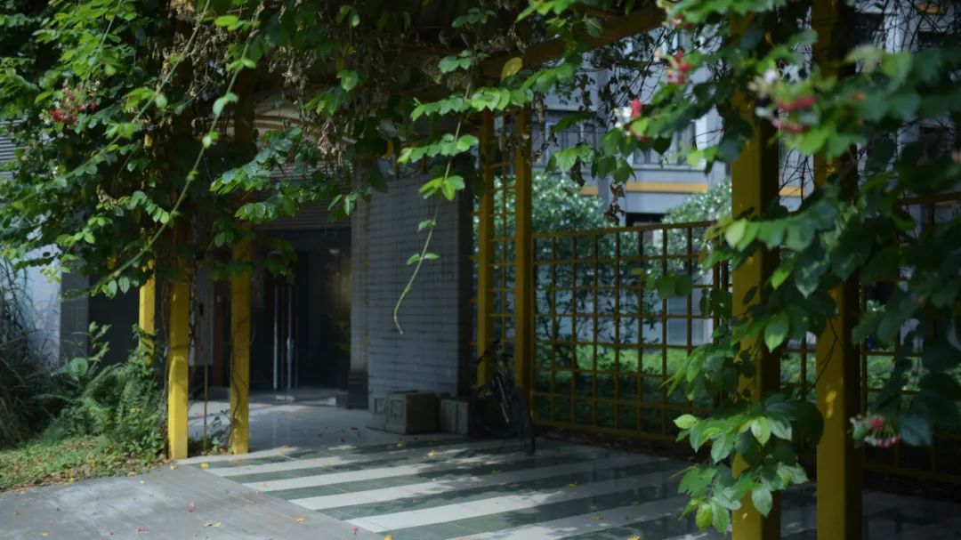庞伟：拔出身来，与时代的荒诞割席