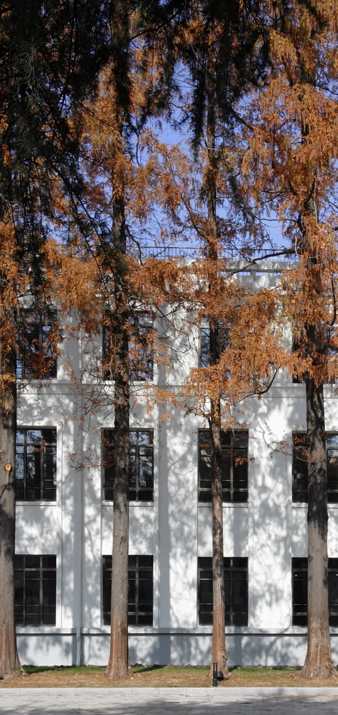 gmp新作 | 上海商学院漕宝路校区(上海洛桑酒店管理学院)一期——城市更新语境下的产教融合型校园