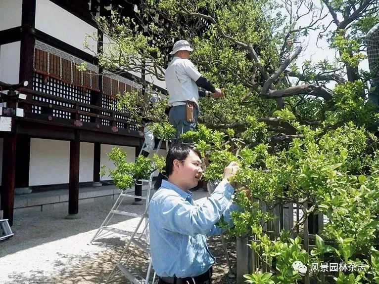 LA荐读 | 传承与转译，日本景观教育的追求——“传统造园的传承”与“接轨世界的设计能力”