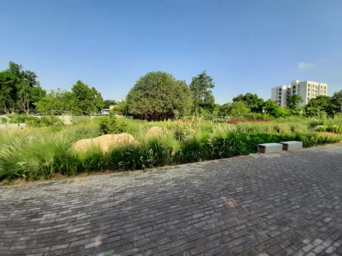 LA专集 | 万木葱翠,十里森境——森林公园规划设计探索