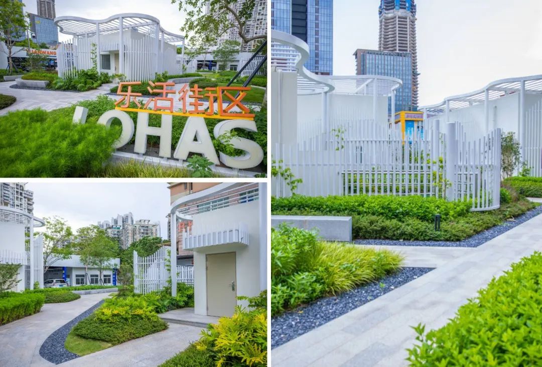 精准协助区级政府整体提升城市公共空间品质 | 蕾奥景观 | LA理事风采