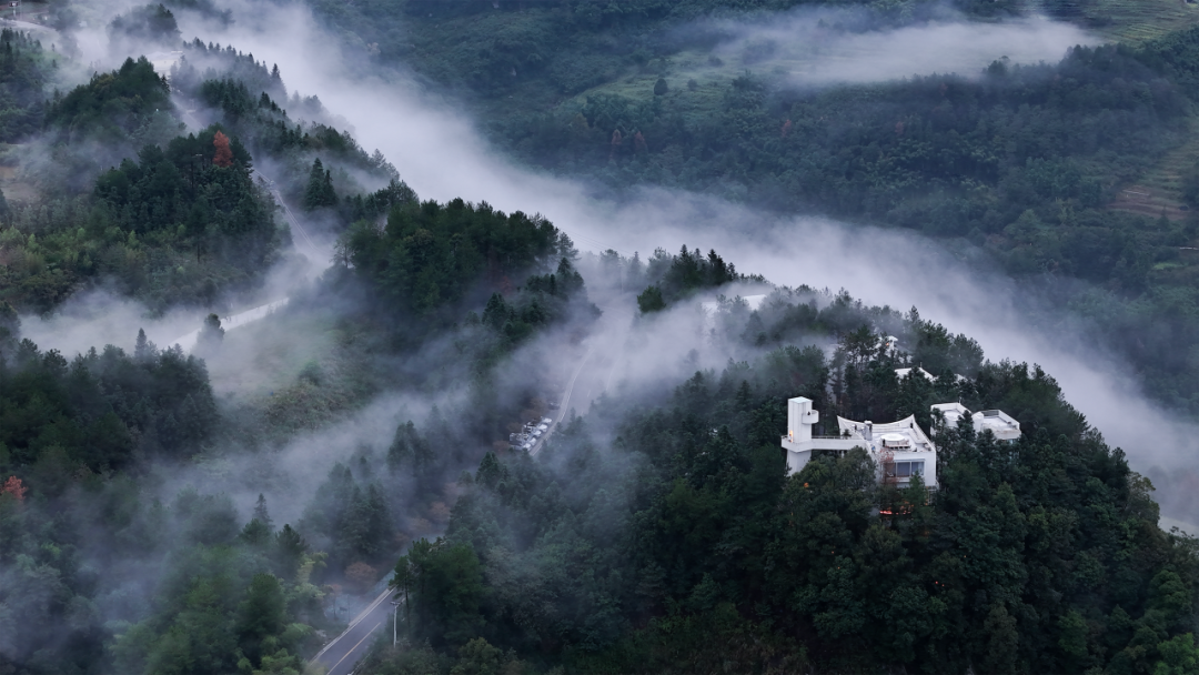 直播预告 | 仙那度：几何重塑山野秘境