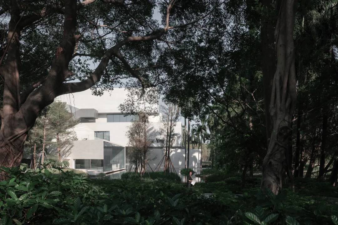 Link-Arc 新作 | 自然透视法: 顺德云鹭湿地博物馆