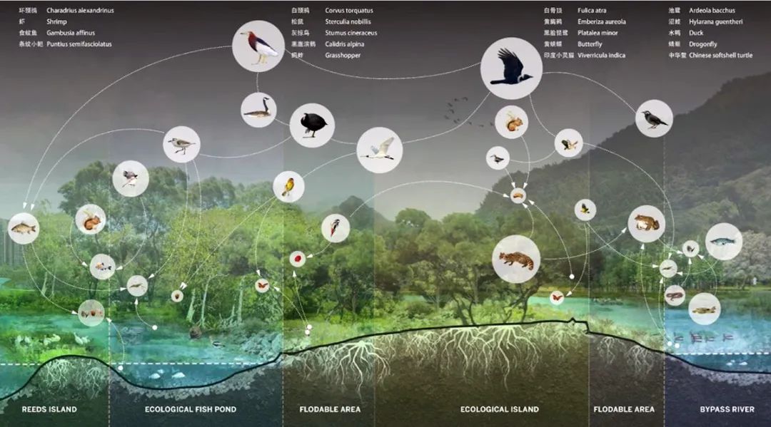 SOM 开放空间设计系列(二):何时?巨变下的多尺度开放空间实践探索