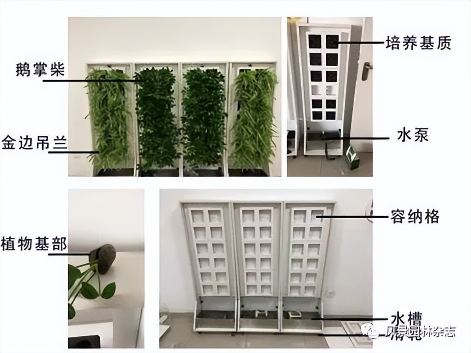 精彩压轴 | 日本景观如何走向自然与健康