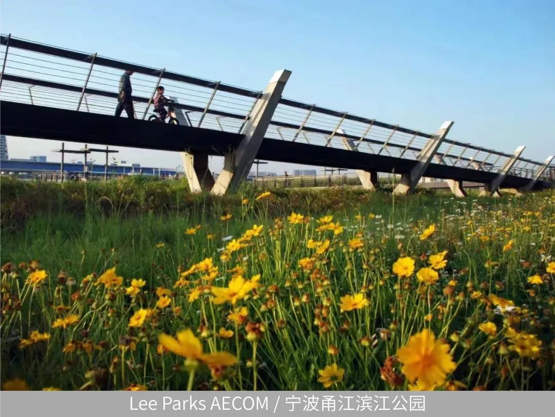 马清运、马岩松、gmp、AECOM云集西安|开启城市封面学术年!
