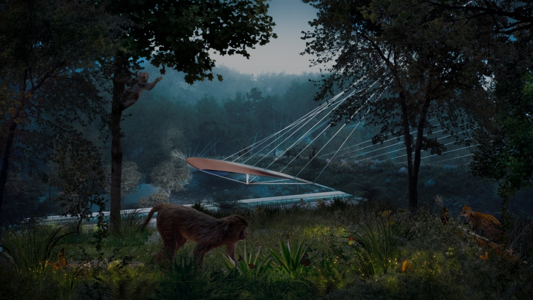 曹睿芝:大题小做