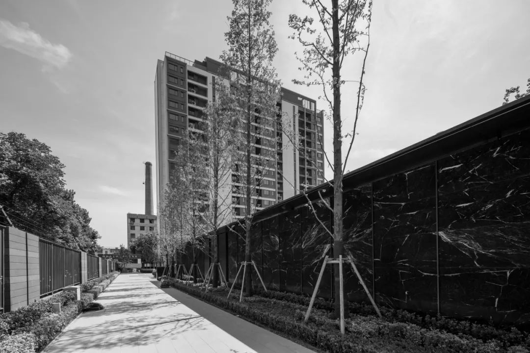 在徐州的“365°都市森居”【致逸现场】