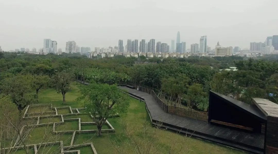 时光，植物、文化和大地