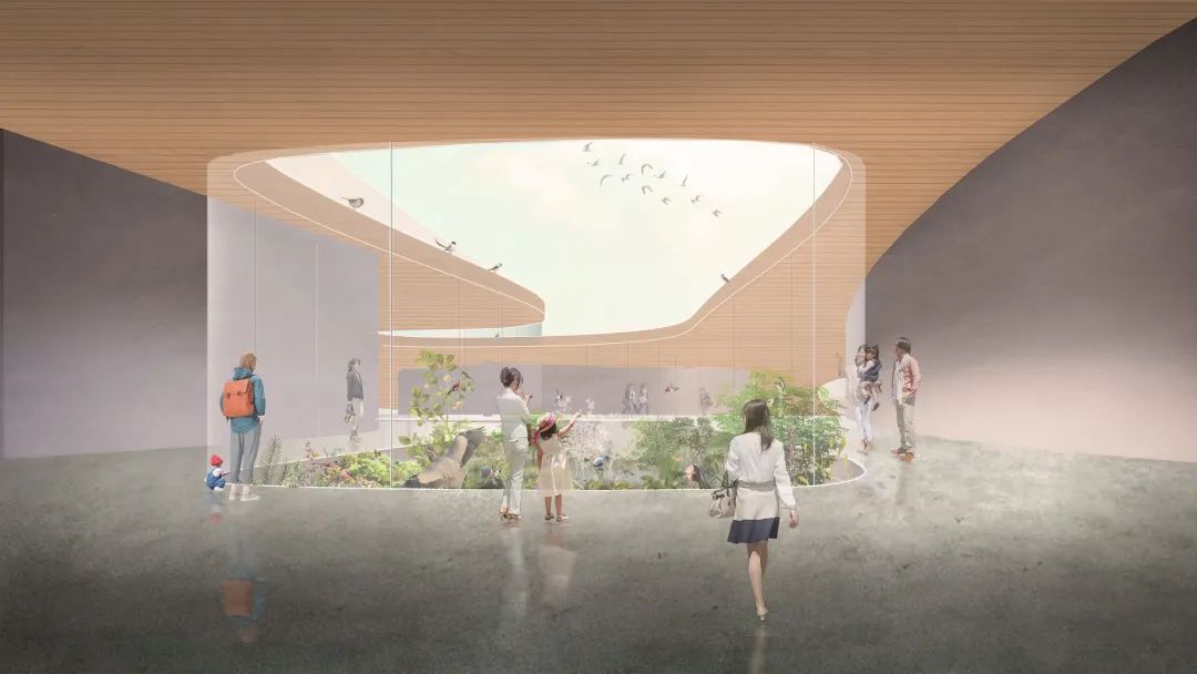 让自然回归都市 深圳红树林湿地博物馆设计方案 都市实践 建筑档案