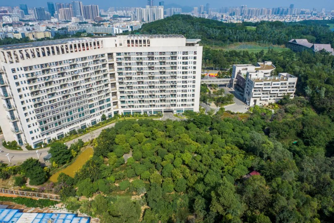 中国医学科学院肿瘤医院深圳医院改扩建工程（二期）：一座疗愈方舟的传承与进化