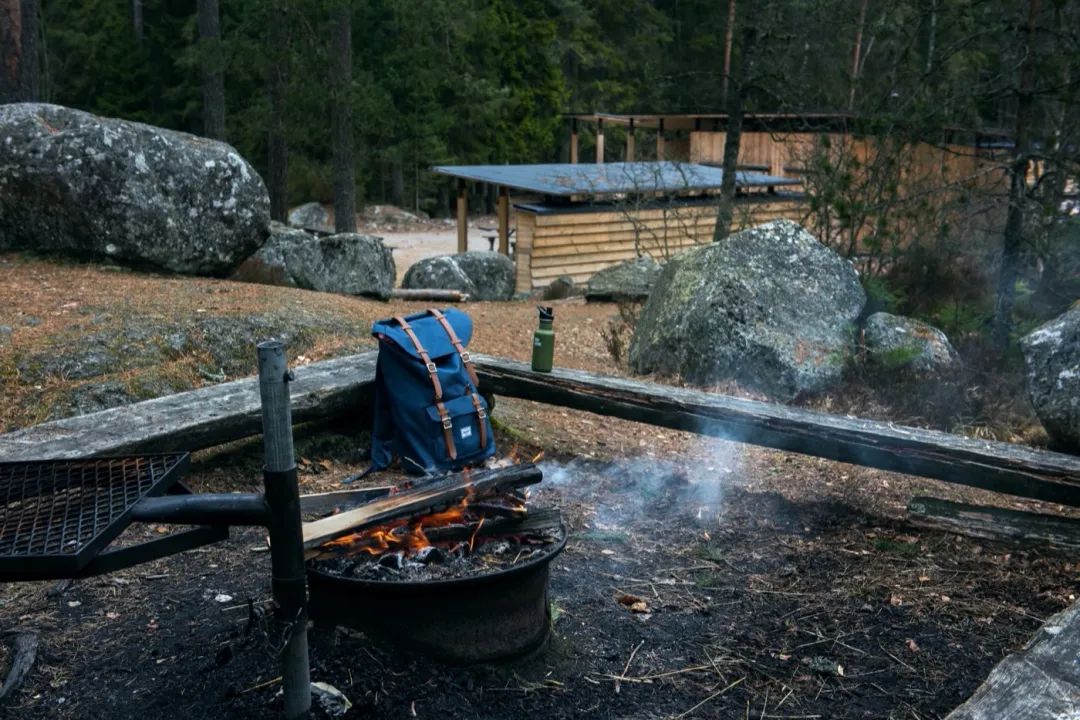 LA专集 | 万木葱翠,十里森境——森林公园规划设计探索