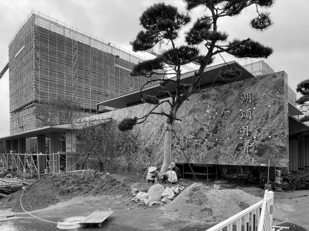 「青绿美学」的建造表达 | 杭州湖颂丹青府【致逸现场】