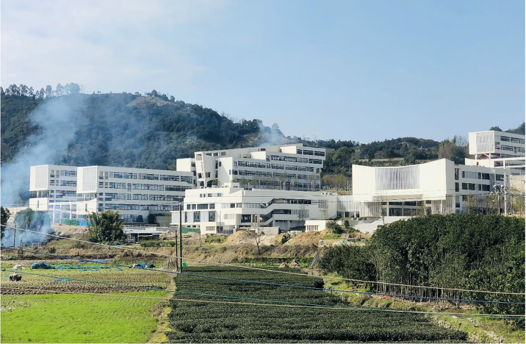 张华:个色的“拧种”