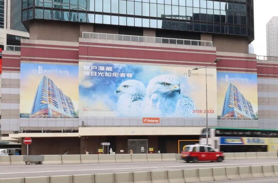 万鹰之神栖居地：波老道21号 海东青品质买家终极选择