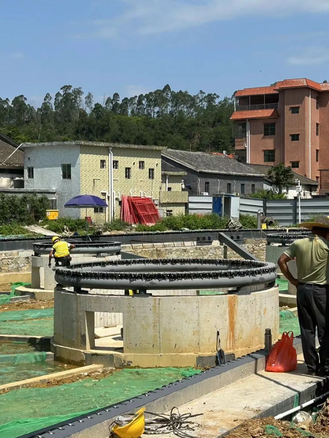 朱小地：在对岸，反观自我