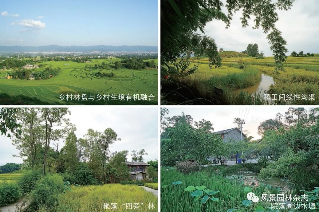 LA专题 | 乡村生物多样性——变化、维持机制及保护策略