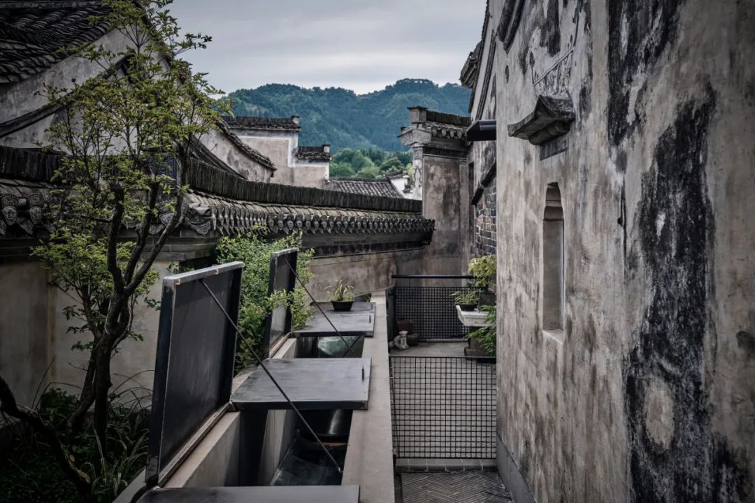 【建言丨对话王灏】以木构精神延续当代人地关系，建筑就是要诚挚地表达这个时代