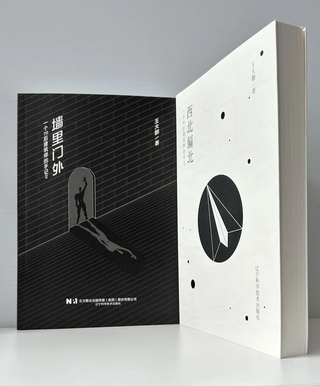 王大鹏:归于真实空间,重建人与人的联结