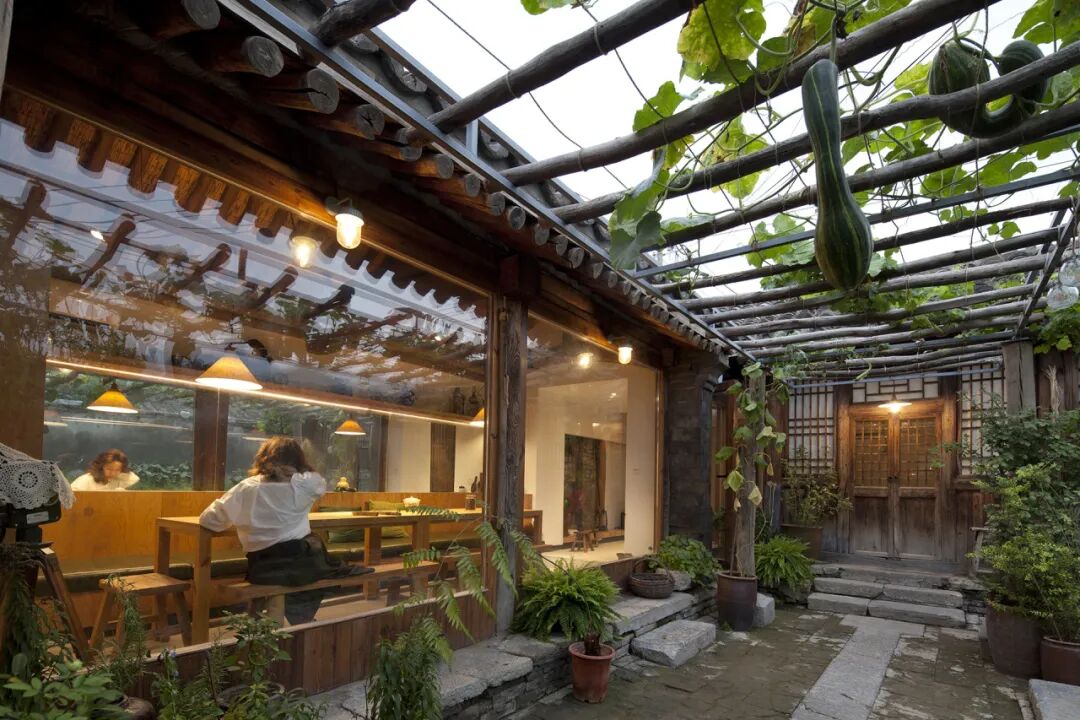 成直:我的社会价值“不参与”