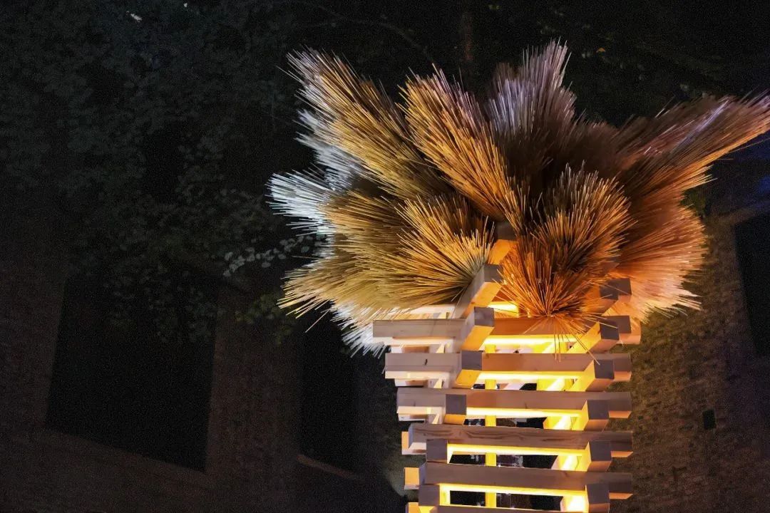 根茎对谈第二期｜我们赖以生存的城市： 王远凌，毛颖，Cyril Shing