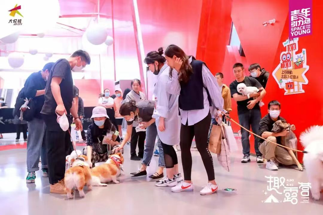 宠物友好商场：“它经济”下，城市商业生态的多样化探索