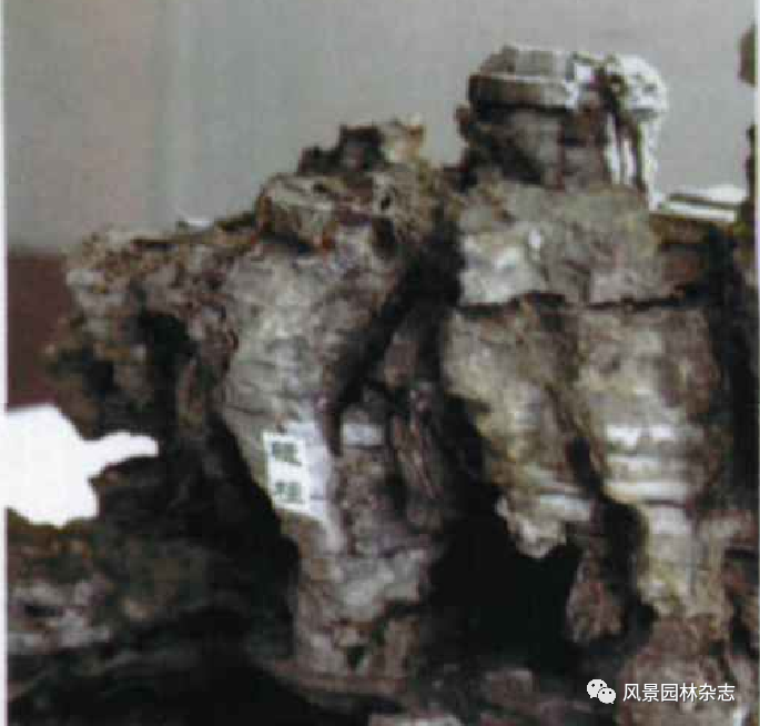 深切缅怀孟兆祯先生 | 孟兆祯 陈云文 李昕 | 继往开来与时俱进——中国工程院庭院园林设计