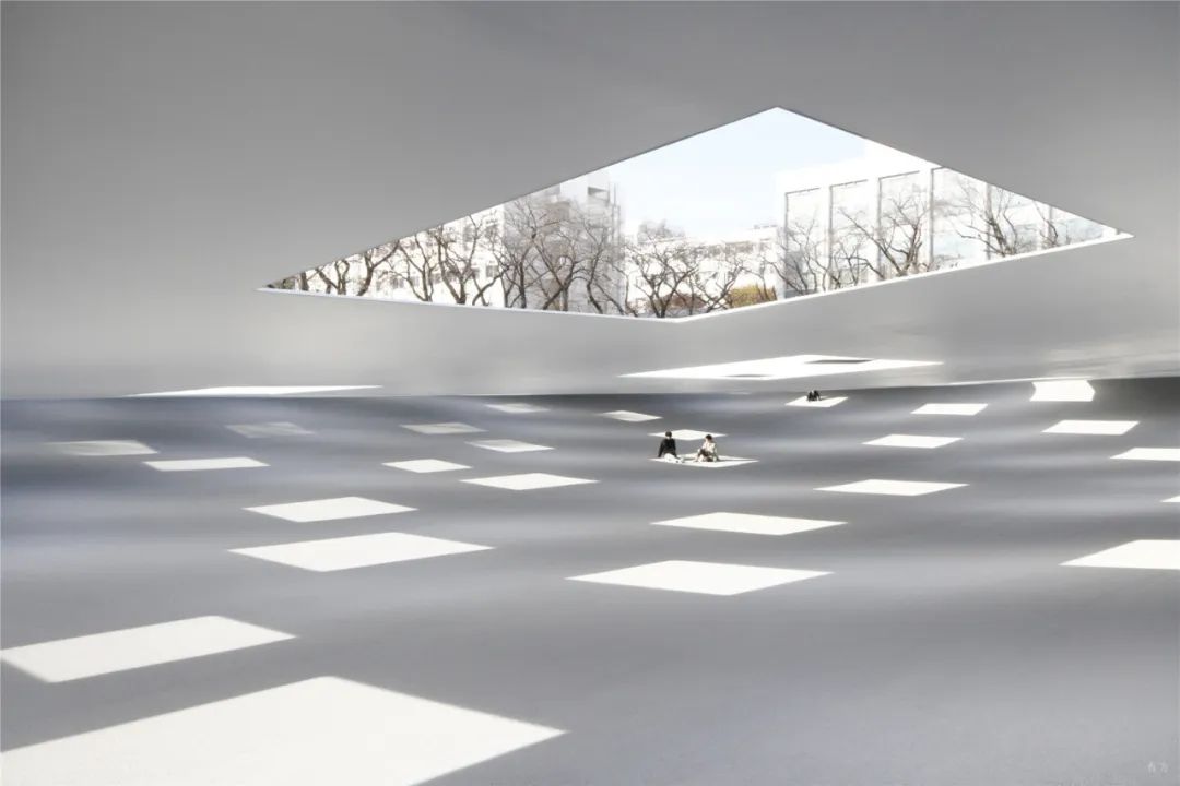 李涛：野生之外