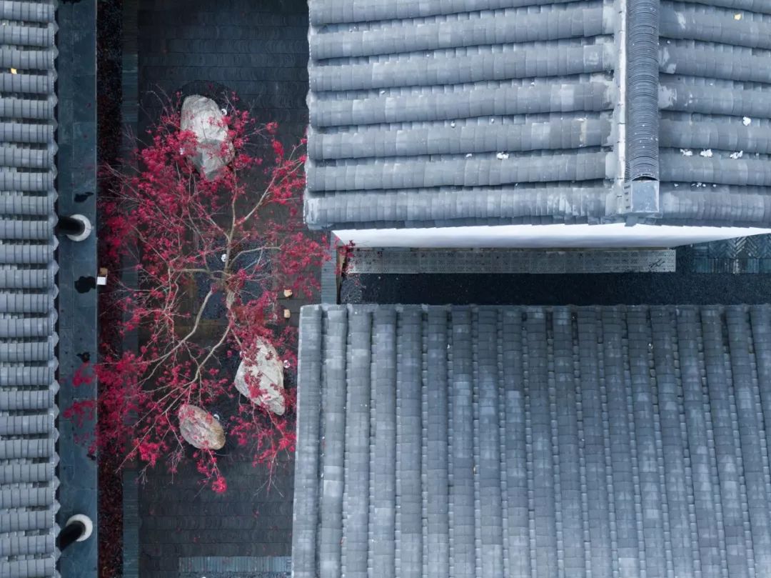 建筑,室内,景观,改造,民宿,乡村营造