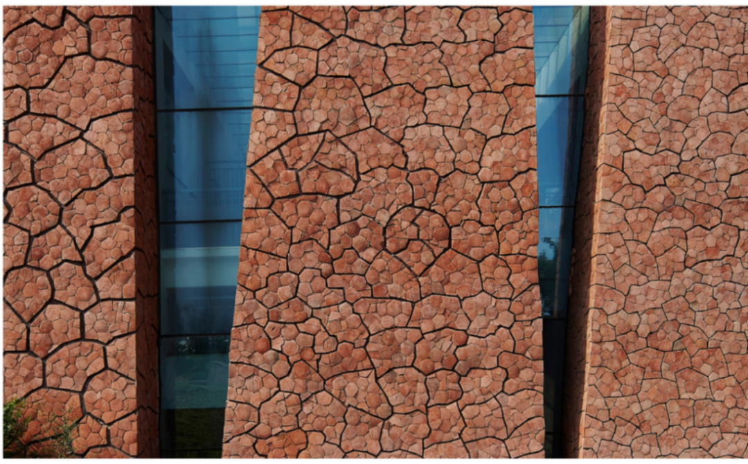 张华:个色的“拧种”