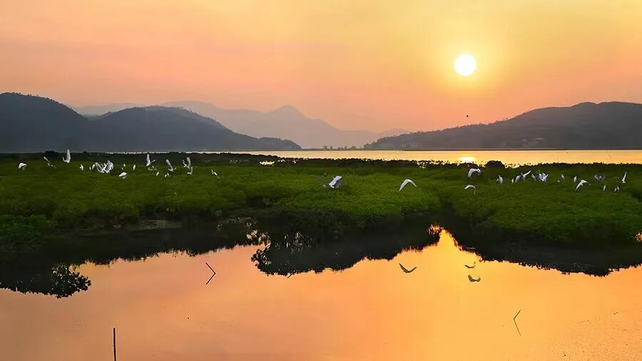 Arcadis凯谛思秉承海湾治理国际理念,为福鼎构建陆海统筹的一体化管理体系,促进海洋经济转型