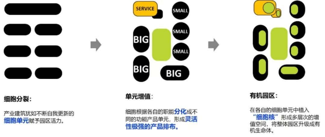 打造“漂亮增长”样本，北京打出美业新王牌