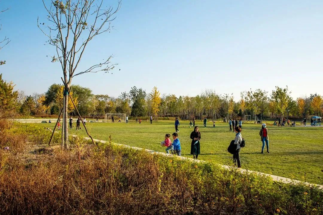 LA专集 | 万木葱翠,十里森境——森林公园规划设计探索